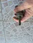 Европейска барутница - 18, снимка 6