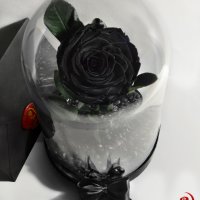 Подарък за рожден ден / Вечна Черна роза в ГОЛЯМА стъкленица / Оригинален подарък за нея, снимка 2 - Декорация за дома - 28355038