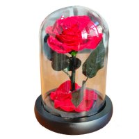 Мини роза в стъкленица, снимка 6 - Подаръци за жени - 44197834