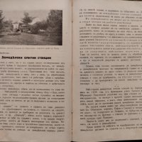 Народна целина. Кн. 1-8 / 1929-1930, снимка 4 - Антикварни и старинни предмети - 42747010