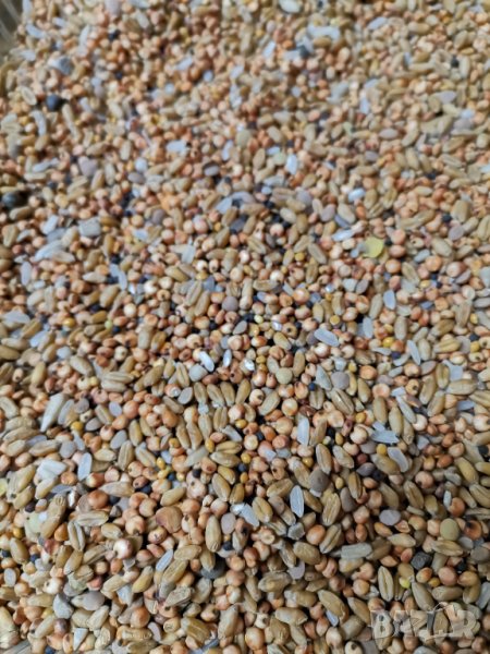 Смес/Храна за декоративни дребни породи гълъби и гугутки , снимка 1