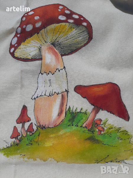 Рисувана торбичка, снимка 1
