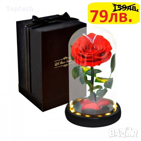 Луксозна вечна роза в стъкленица BEAUTY&THE BEAST RED, 27см, Червен, снимка 1