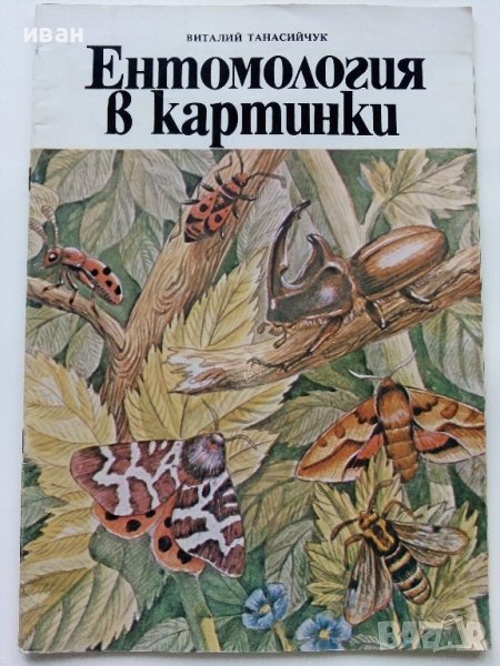 Ентомология в картинки - В.Танасийчук - 1987г. , снимка 1