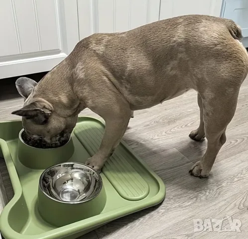 Купи за хранене на домашни любимци 