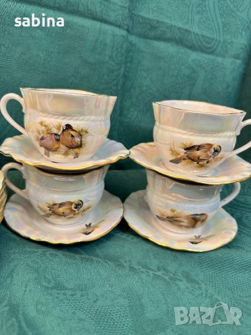 Руски порцелан-нов рядък сервиз Птици, Коростен, СССР, снимка 2 - Сервизи - 54089690