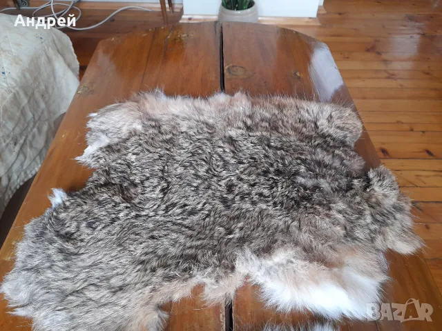 Заешка кожа,кожи, снимка 2 - Други ценни предмети - 47259481