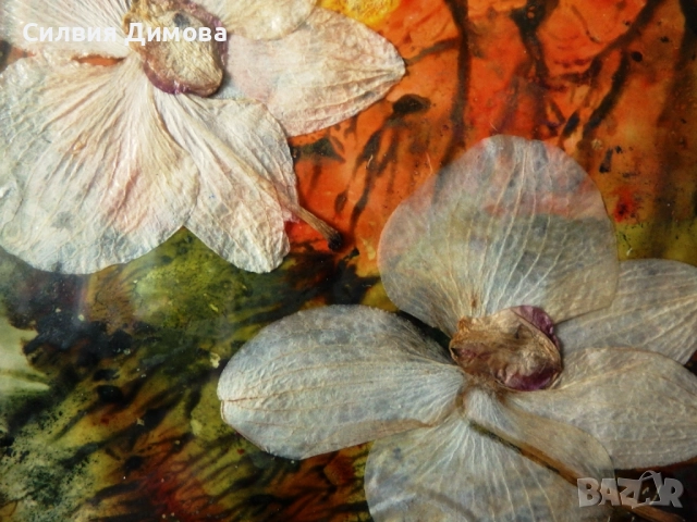 Орхидеи за подарък, снимка 6 - Ръчно изработени сувенири - 51484605