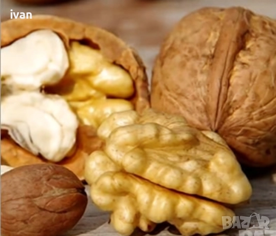 продавам орехи на ядка