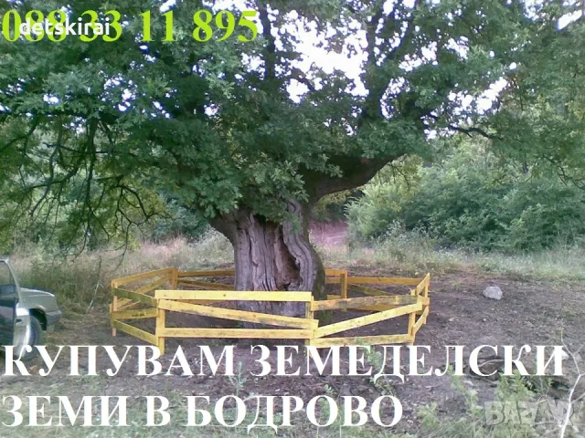 Купувам земеделска земя в Община Димитровград, снимка 3 - Земеделска земя - 24688730