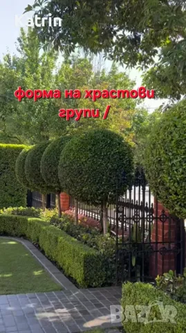 Озеленяване/ Поддръжка , снимка 2 - Други услуги - 48863308