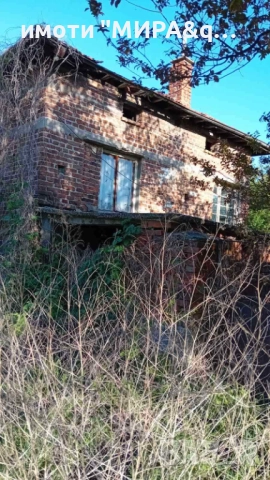 Едноетажна къща с голям двор – с. Златополе,обл.Хасково, снимка 4 - Къщи - 52837644