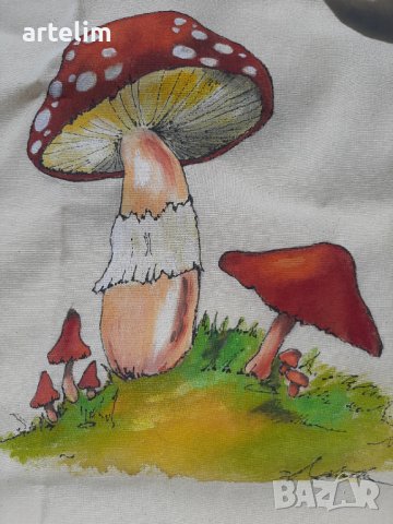 Рисувана торбичка