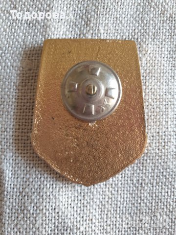 Знак- За дальний поход от Руски военноморски флот, снимка 2 - Антикварни и старинни предмети - 37751036