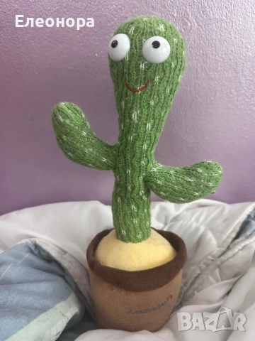 танцуващо и светещо кактусче