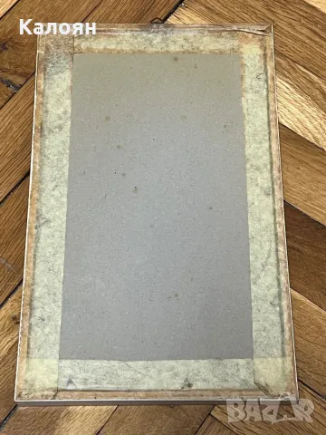 Картинка с птиченце в рамка , снимка 7 - Декорация за дома - 50080457