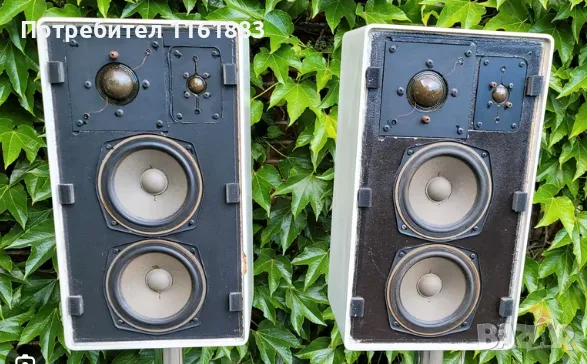 тонколони Braun L715