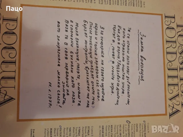 Росица Борджиева, снимка 2 - Грамофонни плочи - 48944237