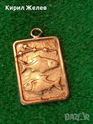 ЗОДИЯ РИБИ АСТРОЛОГИЧЕСКИ СРЕБЪРЕН МЕДАЛЬОН СРЕБРО 925 МАЙСТОРСКА ЗОДИАКАЛНА АРТ ВИСУЛКА 47951, снимка 11 - Колиета, медальони, синджири - 48954405