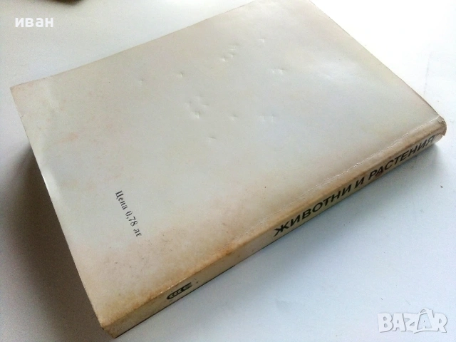 Животни и Растения - В.А.Радкевич - 1983г., снимка 4 - Енциклопедии, справочници - 53118789