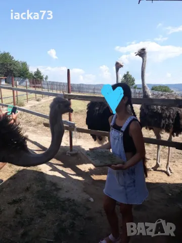 Дънково сукманче и боди Zara , снимка 9 - Детски рокли и поли - 46137749