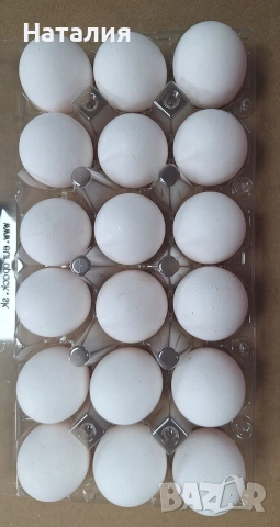 Продавам яйца