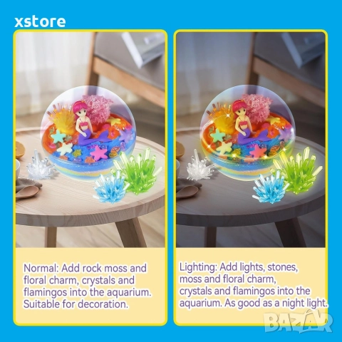 Пълен комплект за терариум - Направи си сам, снимка 5 - Образователни игри - 52808274