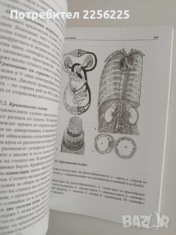 Анатомия на човека, снимка 9 - Специализирана литература - 56289267