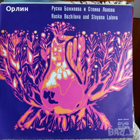 Нови непросвирвани плочи - Народна музика 6, снимка 14 - Грамофонни плочи - 51099727