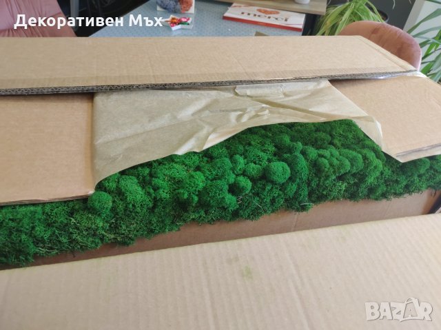 ПРЕМУИМ декоративен скандинавски стабилизиран мъх - на едро и дребно, снимка 5 - Декорация за дома - 31836832