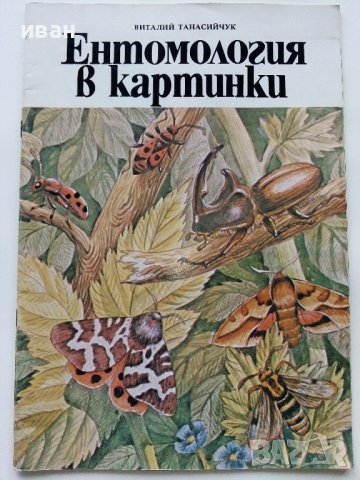 Ентомология в картинки - В.Танасийчук - 1987г. , снимка 1 - Детски книжки - 38938271