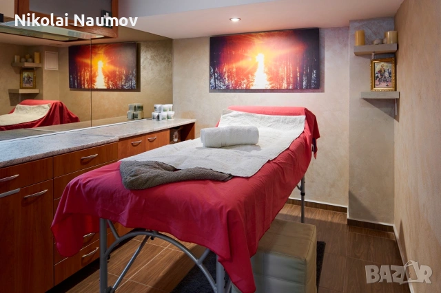 Професионални масажи 