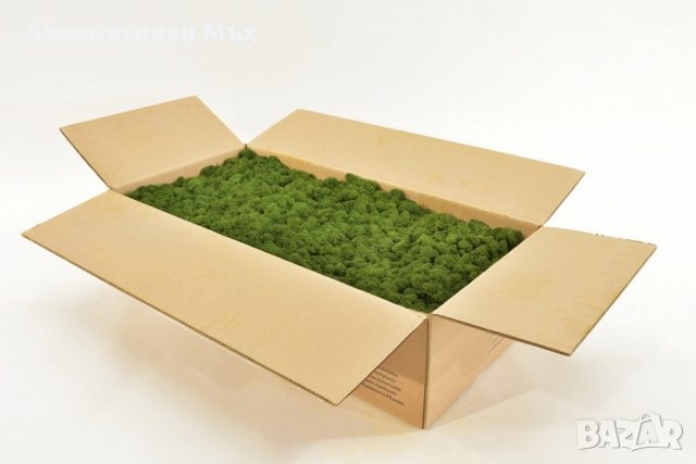 ПРЕМУИМ декоративен скандинавски стабилизиран мъх - на едро и дребно, снимка 2 - Декорация за дома - 31836832