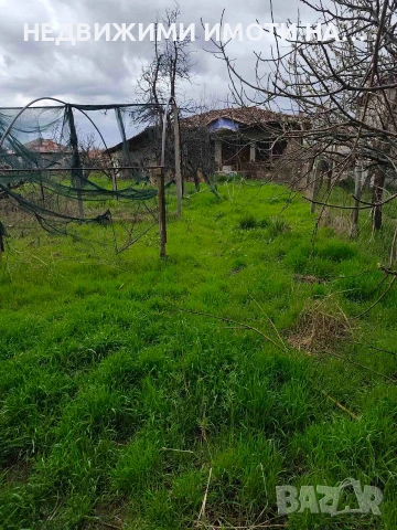 Парцел със стара къща , снимка 2 - Парцели - 54339086