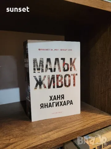 Малък живот от Ханя Янагихара( на английски и български език), снимка 10 - Художествена литература - 48329118