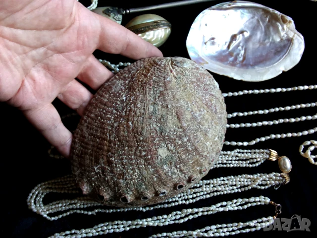 Перли,седеф и др., снимка 8 - Антикварни и старинни предмети - 51305645