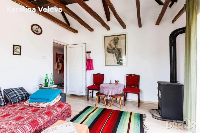 Вила в с.Буховци, снимка 4 - Къщи - 54330585