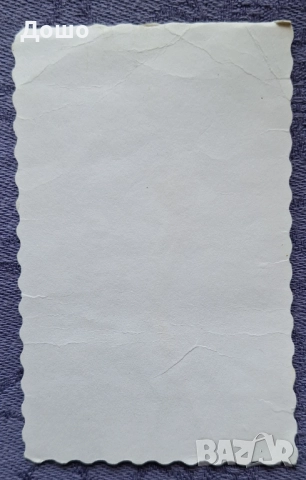 Картичка от Божи гроб с хербаризирано цвете, снимка 2 - Колекции - 52319926