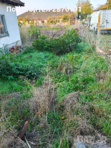 Косене на трева, храсти Подръжка на градини, снимка 3 - Други - 49379936