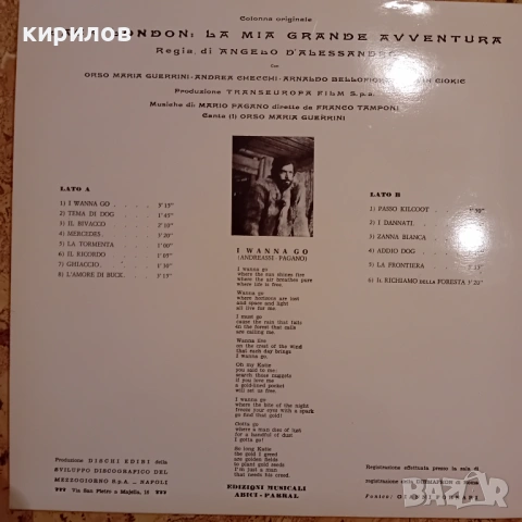 Колекция грамофонни плочи, снимка 6 - Грамофонни плочи - 53918558