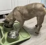 Купи за хранене на домашни любимци , снимка 1