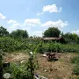 Парцел с овошки, снимка 9