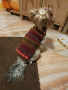 Плетени дрешки за кучета М размер, снимка 4
