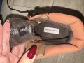 Зимни боти - Tom Tailor, снимка 4