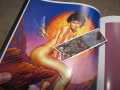 Mark E. Rogers artbook еротика , снимка 10