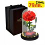 Луксозна вечна роза в стъкленица BEAUTY&THE BEAST RED, 27см, Червен, снимка 1