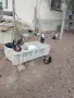 Свободни Неми Патици, снимка 2