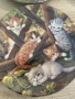 на фотографии:

Колекционерски порцеланови чинии Kahla – „Katzenkinder auf Entdeckungsreise“., снимка 4