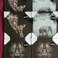 Нови квадратни рамки за снимки или картини с тигър,жираф и слон., снимка 1 - Декорация за дома - 44606090