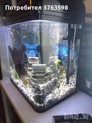 аквариум с рибки около 30-тин , снимка 2 - Аквариуми - 44655728
